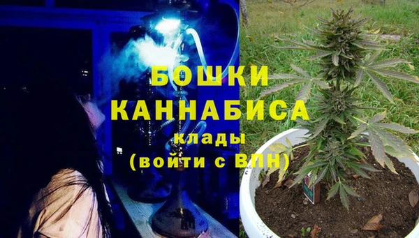 винт Нея