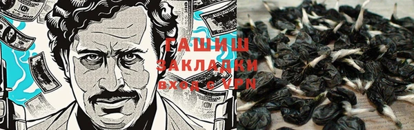 винт Нея