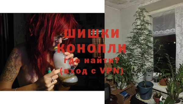 крисы Надым