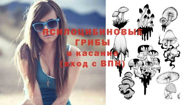соль ск Навашино